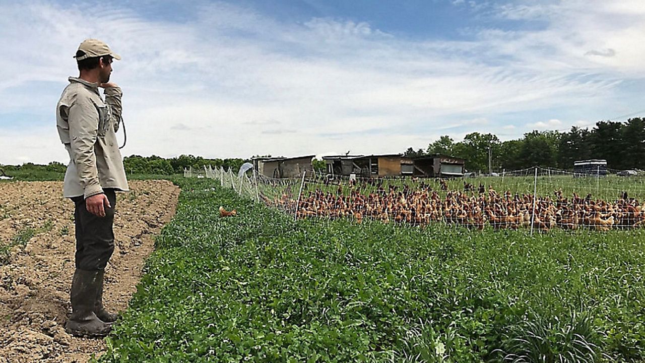 Family Farm Stays in Darwin