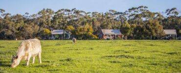 Family Farm Stays in Geelong