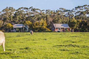 Family Farm Stays in Geelong