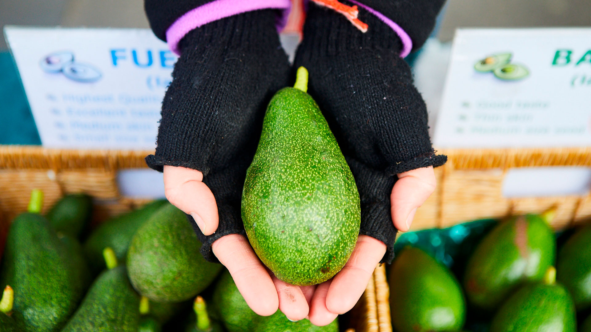 Farmers Markets in Bendigo