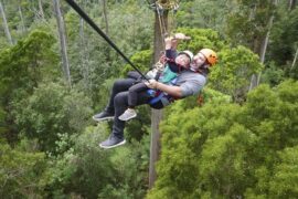 Free Attractions for Little Kids in Launceston