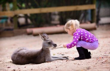 Free Attractions for Little Kids in Sunshine Coast