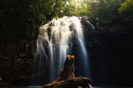 Free Attractions in Cairns