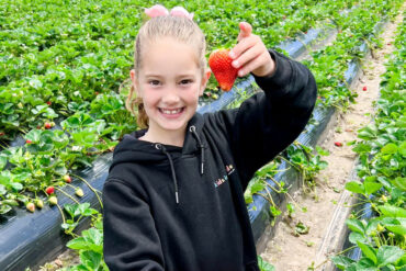 Fruit Picking for Kids in Adelaide