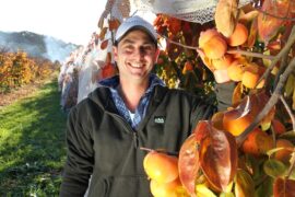 Fruit Picking for Kids in Albury-Wodonga