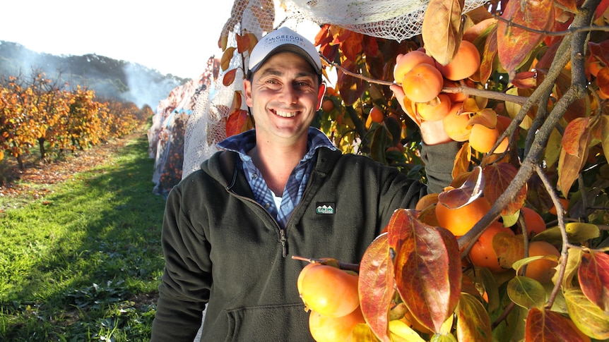 Fruit Picking for Kids in Albury-Wodonga