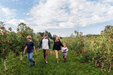 Fruit Picking for Kids in Wollongong