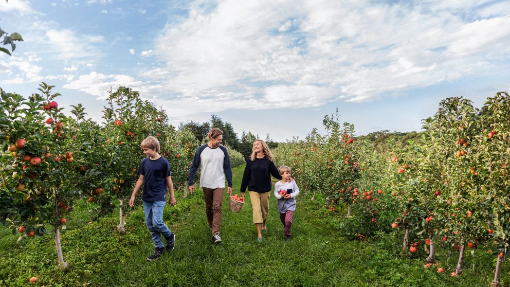 Fruit Picking for Kids in Wollongong