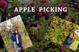 Fruit Picking in Albury-Wodonga