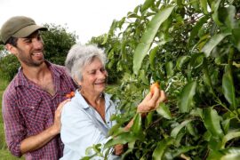 Fruit Picking in Townsville