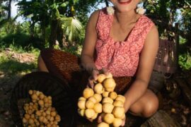 Fruit Picking in Wollongong