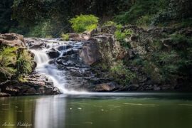 Gardners Falls Maleny