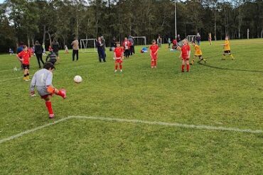 Gavenlock Oval Narara