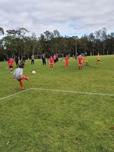 Gavenlock Oval Narara