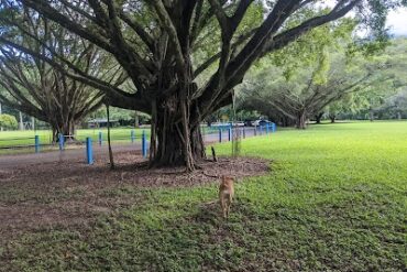 Goomboora Park Brinsmead