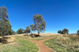 Gubur Dhaura Heritage Park Franklin