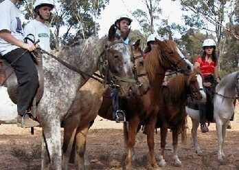 Horse Riding in Bendigo