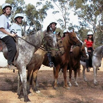 Horse Riding in Bendigo