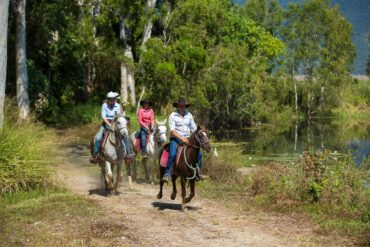 Horse Riding in Cairns