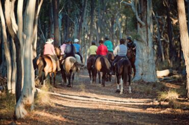 Horse Riding in Canberra