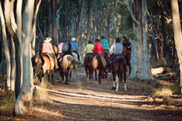 Horse Riding in Canberra