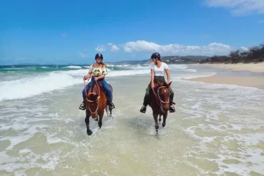 Horse Riding in Gold Coast