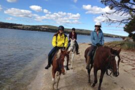 Horse Riding in Hobart