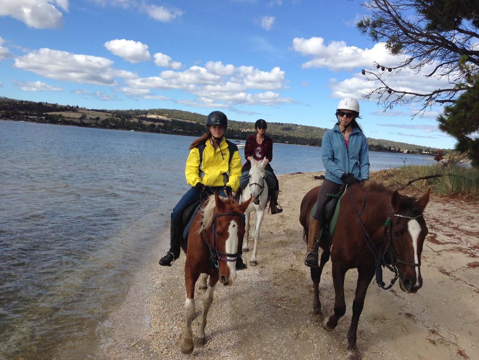 Horse Riding in Hobart