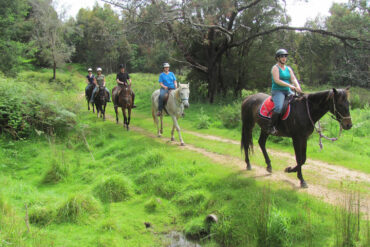 Horse Riding in Launceston