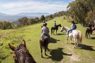 Horse Riding in Melbourne