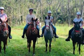 Horse Riding in Sunshine Coast