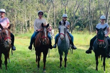 Horse Riding in Sunshine Coast