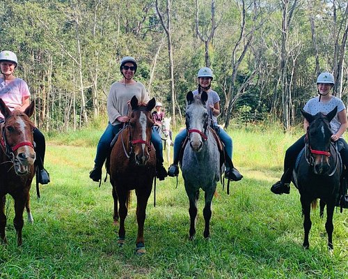 Horse Riding in Sunshine Coast