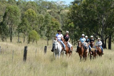 Horse Riding in Toowoomba