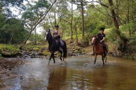 Horse Riding in Wollongong