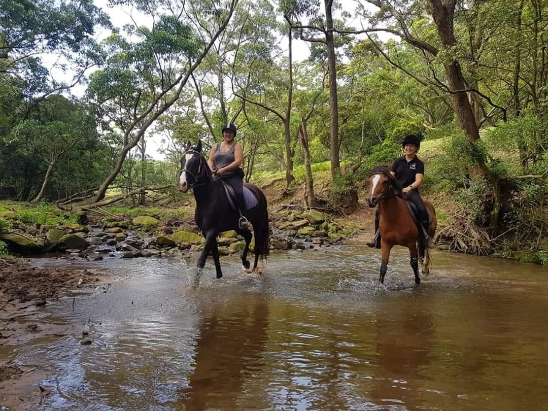 Horse Riding in Wollongong