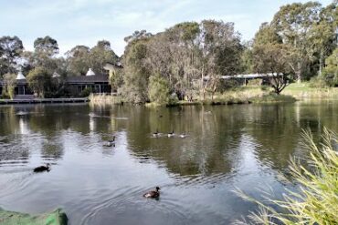 Hunter Wetlands Centre Australia Shortland