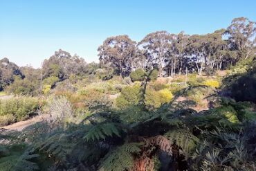 Illawarra Grevillea Park Bulli