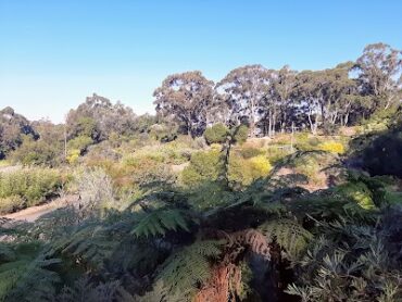 Illawarra Grevillea Park Bulli