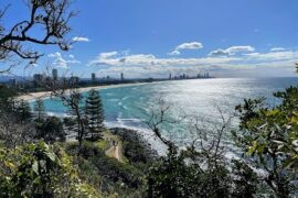 Jebbribillum Lookout Burleigh Heads