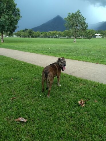 Kenrick Street Park Gordonvale