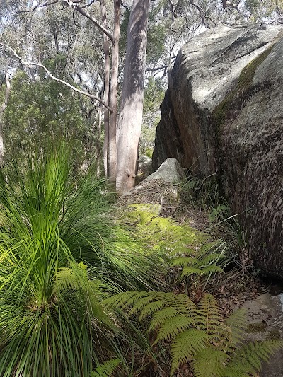 Kincumba Mountain Reserve Kincumber