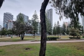 Kurrawa Park Broadbeach