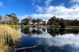 Lyneham Wetlands Lyneham