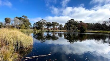 Lyneham Wetlands Lyneham