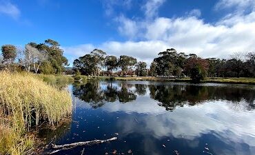 Lyneham Wetlands Lyneham