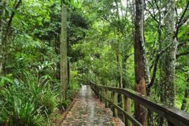 Maleny Trail Maleny