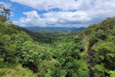 Mapleton Falls lookout Mapleton