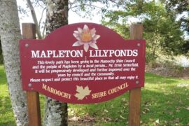 Mapleton Lilyponds Mapleton