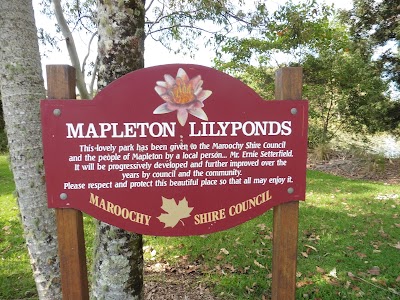 Mapleton Lilyponds Mapleton